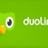 Duolingo v6.9.5 MOD APK (Premium, All Unlocked) Download