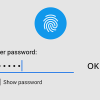SafeInCloud Pro v24.17.10 APK (Full/Patched)