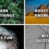 QuizzLand v3.6.013 MOD APK (Unlimited Money) Download