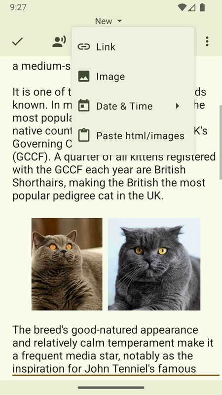 Add links, images, and creation dates to documents in Oojao Text Editor MOD APK