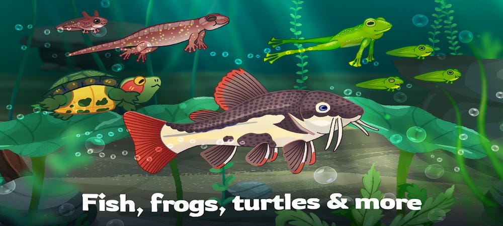 You can care for and preserve many different freshwater fish species in Pondlife MOD APK