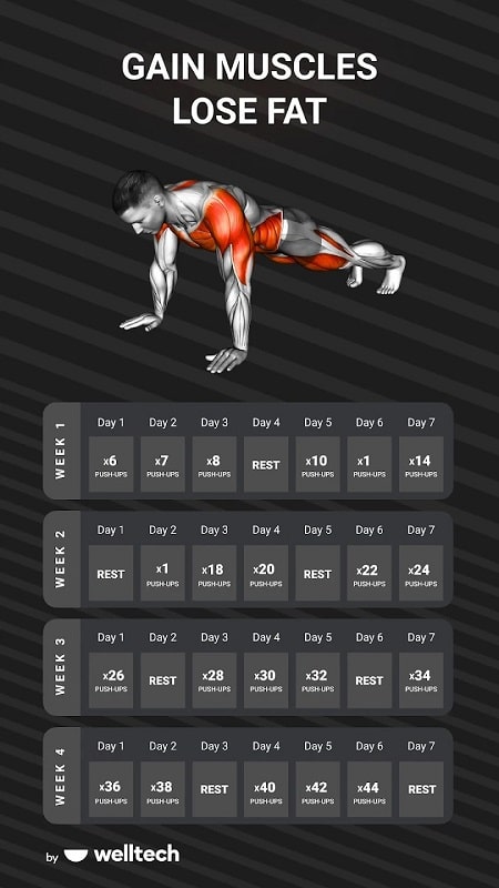 Muscle Booster Workout Planner mod