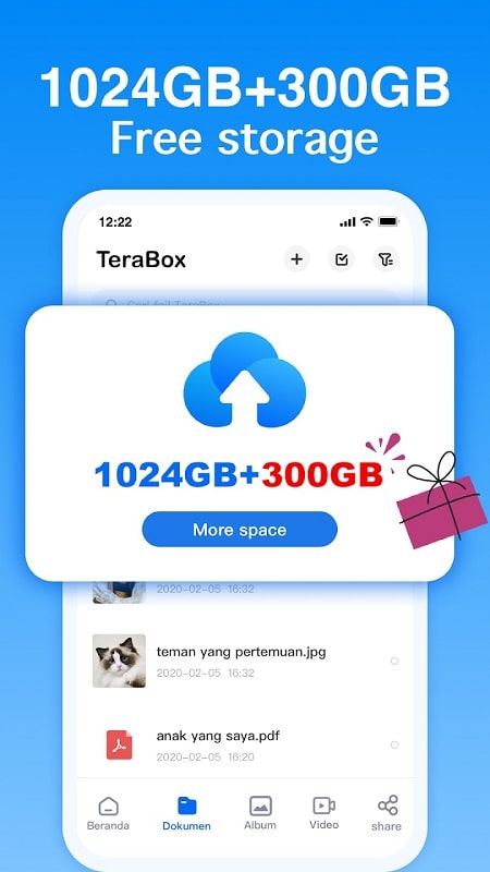 Terabox mod android free