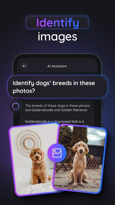 Gemmy AI mod apk