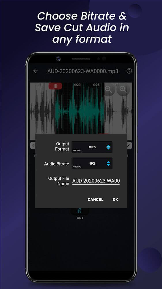 MP4, MP3 Video Audio Cutter, Trimmer & Converter