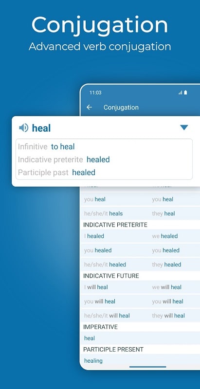 Reverso Translate and Learn mod android free 