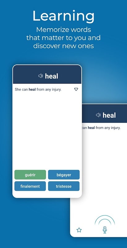 Reverso Translate and Learn mod apk free 