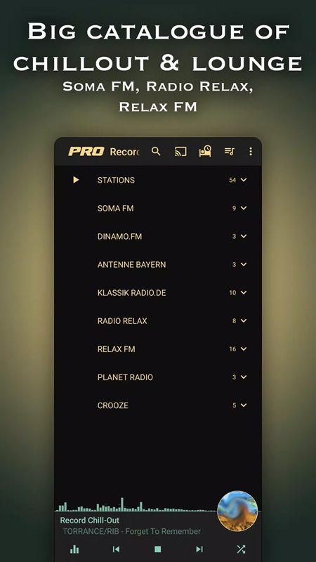 Search and select your favorite programs and radio channels in Chillout & Lounge music radio MOD APK