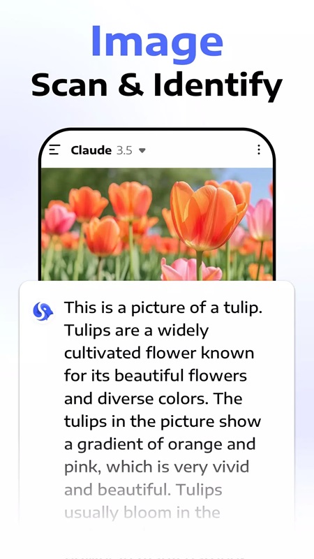 Quickly identify and recognize images and give detailed answers about that image in Deep Think MOD APK