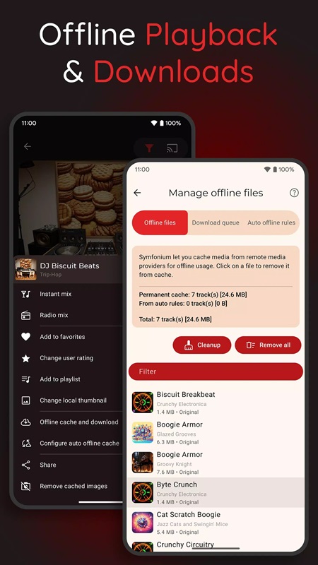 Download your favorite songs to listen to offline in Symfonium MOD APK