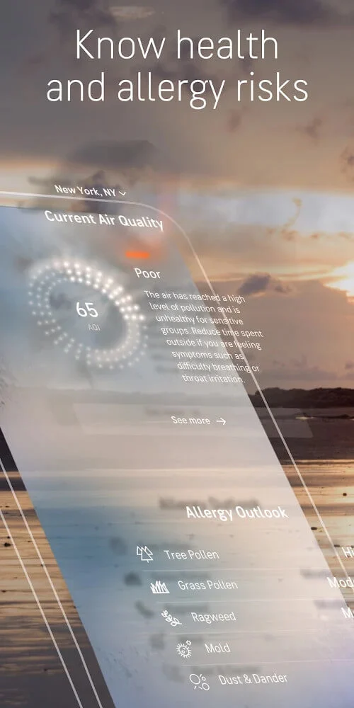 AccuWeather mod