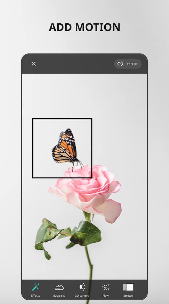 VIMAGE: Cinemagraph & Motion Picture Animation App