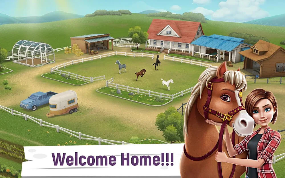 My Horse Stories