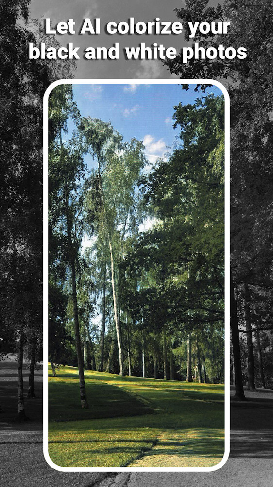 Colorize it – Colorize Photos