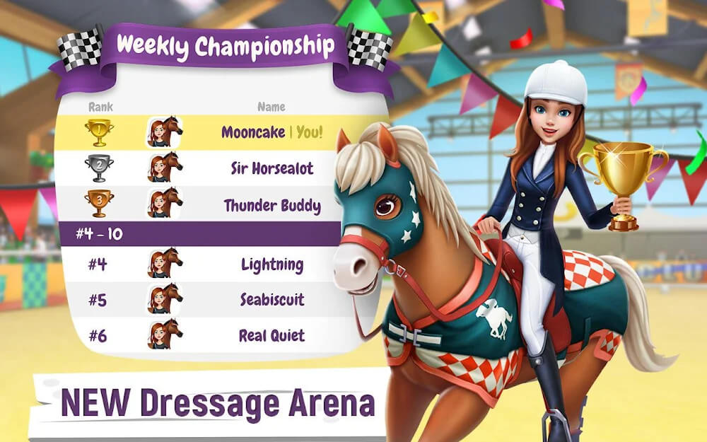 My Horse Stories