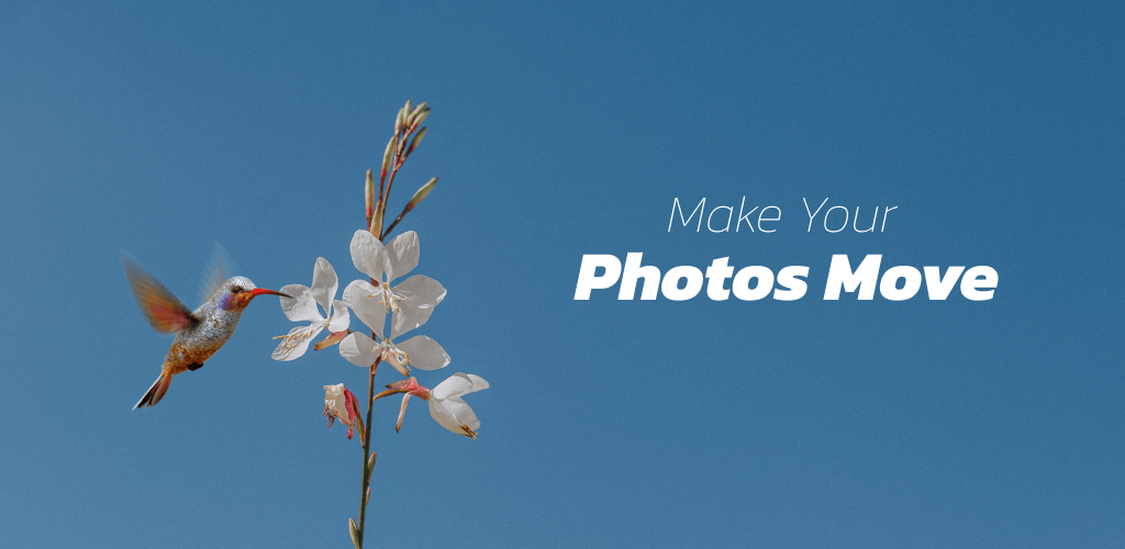VIMAGE: Cinemagraph & Motion Picture Animation App