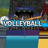 VolleyBall King v1.3.2 MOD APK (Unlimited Gold, Gems)